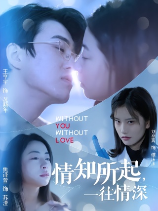 短剧情知所起，一往情深海报