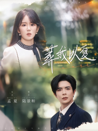 短剧葬我以夏海报