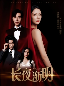 短剧长夜渐明海报