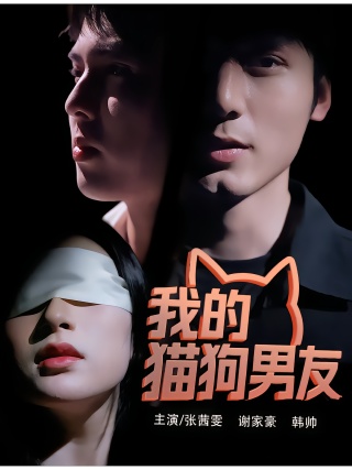短剧我的猫狗男友海报