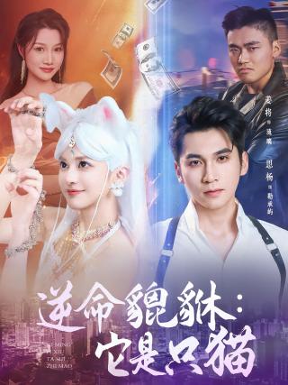 短剧逆命貔貅：它是只猫海报