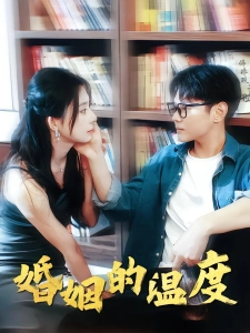 短剧婚姻的温度海报