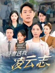 短剧贤妻送我凌云志海报