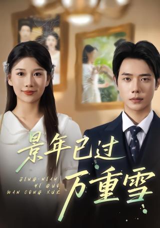 短剧景年已过万重雪海报