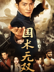 短剧国术无双海报