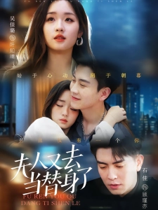 短剧夫人又去当替身了海报