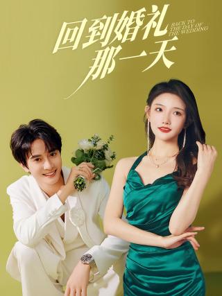 短剧回到婚礼那一天海报