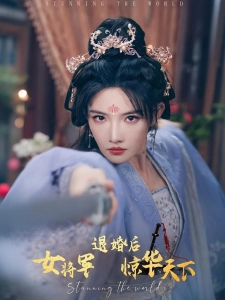 短剧退婚后女将军惊华天下海报