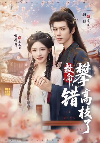 短剧救命，攀错高枝了海报