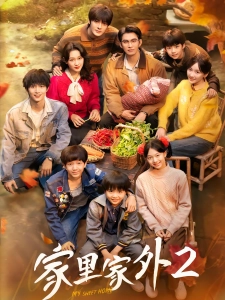 短剧家里家外2海报
