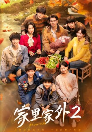 短剧家里家外2海报