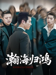 短剧瀚海归鸿海报