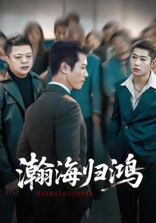短剧瀚海归鸿海报