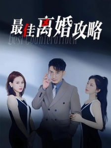 短剧最佳离婚攻略海报