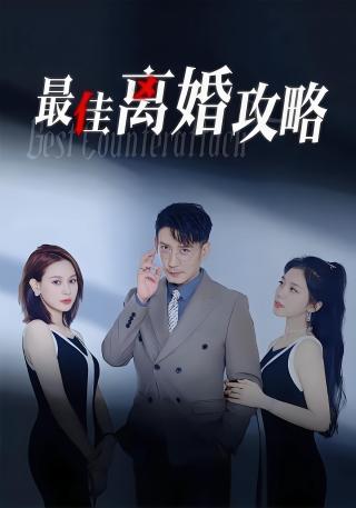 短剧最佳离婚攻略海报