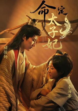 短剧命定太子妃海报