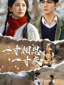 短剧一寸相思一寸灰海报