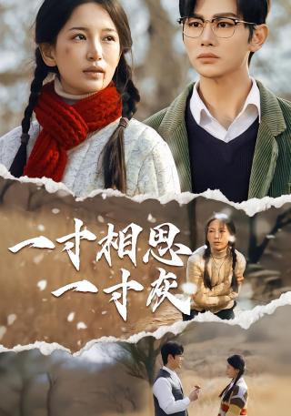 短剧一寸相思一寸灰海报