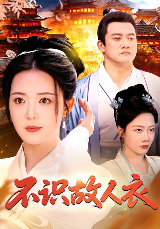 短剧不识故人衣海报