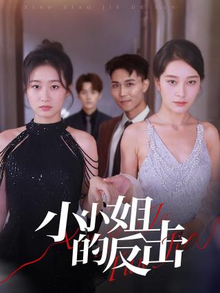 短剧小小姐的反击海报