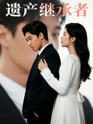 短剧遗产继承者海报