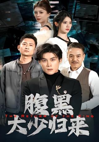 短剧腹黑大少归来海报