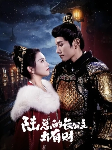 短剧陆总的长公主太有财海报