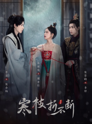 短剧寒枝折不断海报