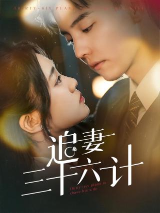 短剧追妻三十六计海报