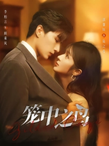 短剧笼中之鸟海报