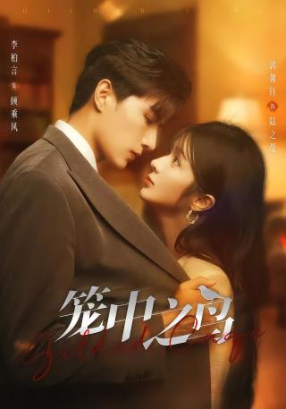 短剧笼中之鸟海报