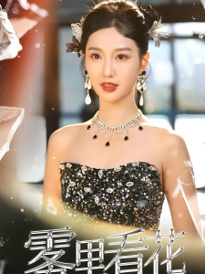 短剧雾里看花海报