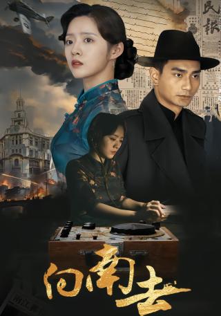 短剧向南去海报