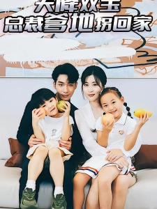 短剧天降双宝，总裁爹地拐回家海报