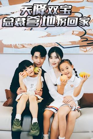 短剧天降双宝，总裁爹地拐回家海报