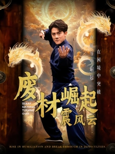 短剧废材崛起震风云海报