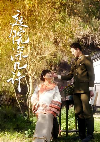 短剧庭院深几许海报