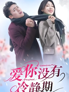 短剧爱你没有冷静期海报