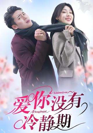短剧爱你没有冷静期海报