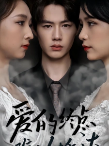 短剧爱的终点难以抵达海报