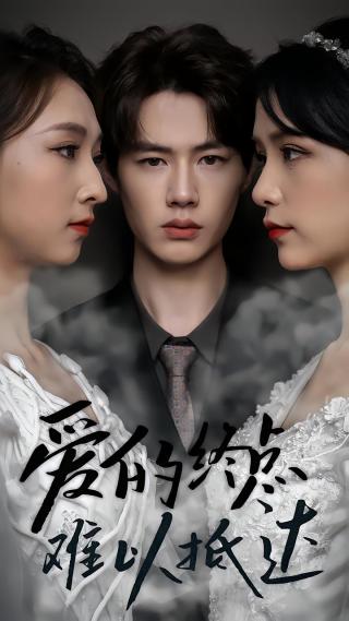 短剧爱的终点难以抵达海报