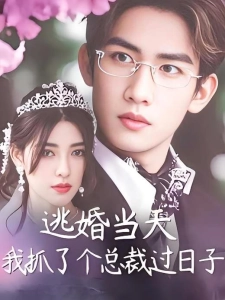 短剧逃婚当天我抓了个总裁过日子海报