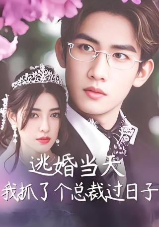 短剧逃婚当天我抓了个总裁过日子海报