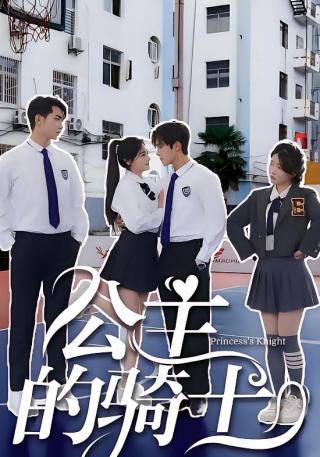 短剧公主的骑士海报
