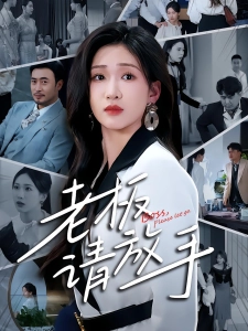 短剧老板请放手海报