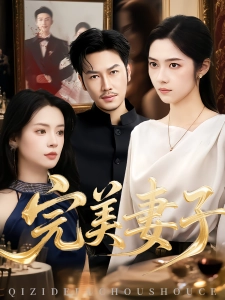 短剧完美妻子海报