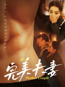 短剧完美夫妻海报