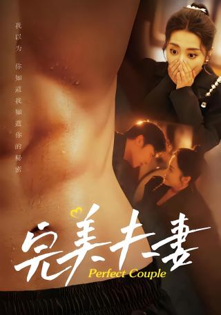 短剧完美夫妻海报