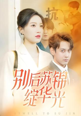 短剧别后苏锦绽华光海报