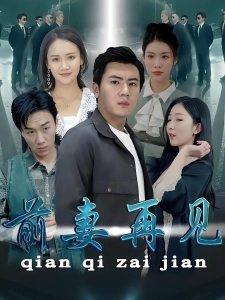 短剧前妻再见海报